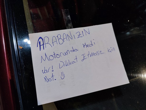 Foto - Çareyi not bırakmakta buldular! Ekipleri peşine takan kedi