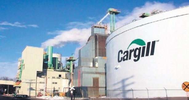 Foto - Cargill’den, yeni ürünü TurCao ile çikolata üretimine yerli katkı 