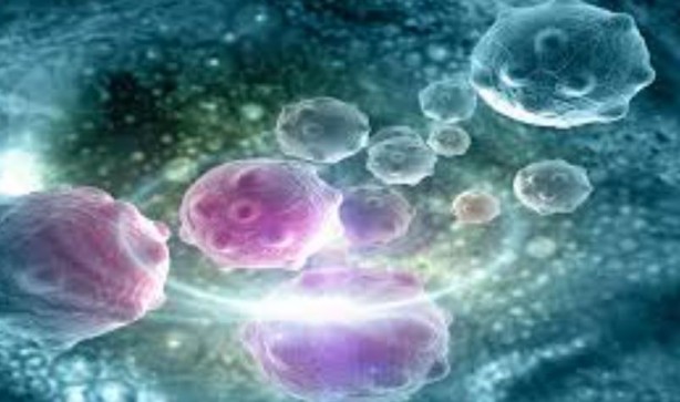 Foto - Çarpıcı kanser kanser araştırması! Vakaların yüzde 40'ı hızla yayılan sorunla ilgili