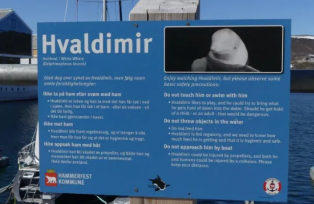 Foto - Casusluk faaliyetleri için denize bıraktılar! Uyarılar peş peşe geldi