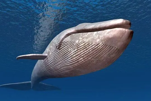 Foto - Casusluk faaliyetleri için denize bıraktılar! Uyarılar peş peşe geldi