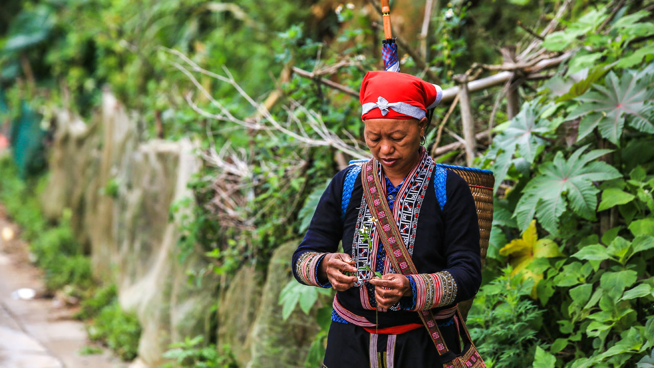 Foto - Cat Cat Köyü! Dağların arasında saklı bir masal