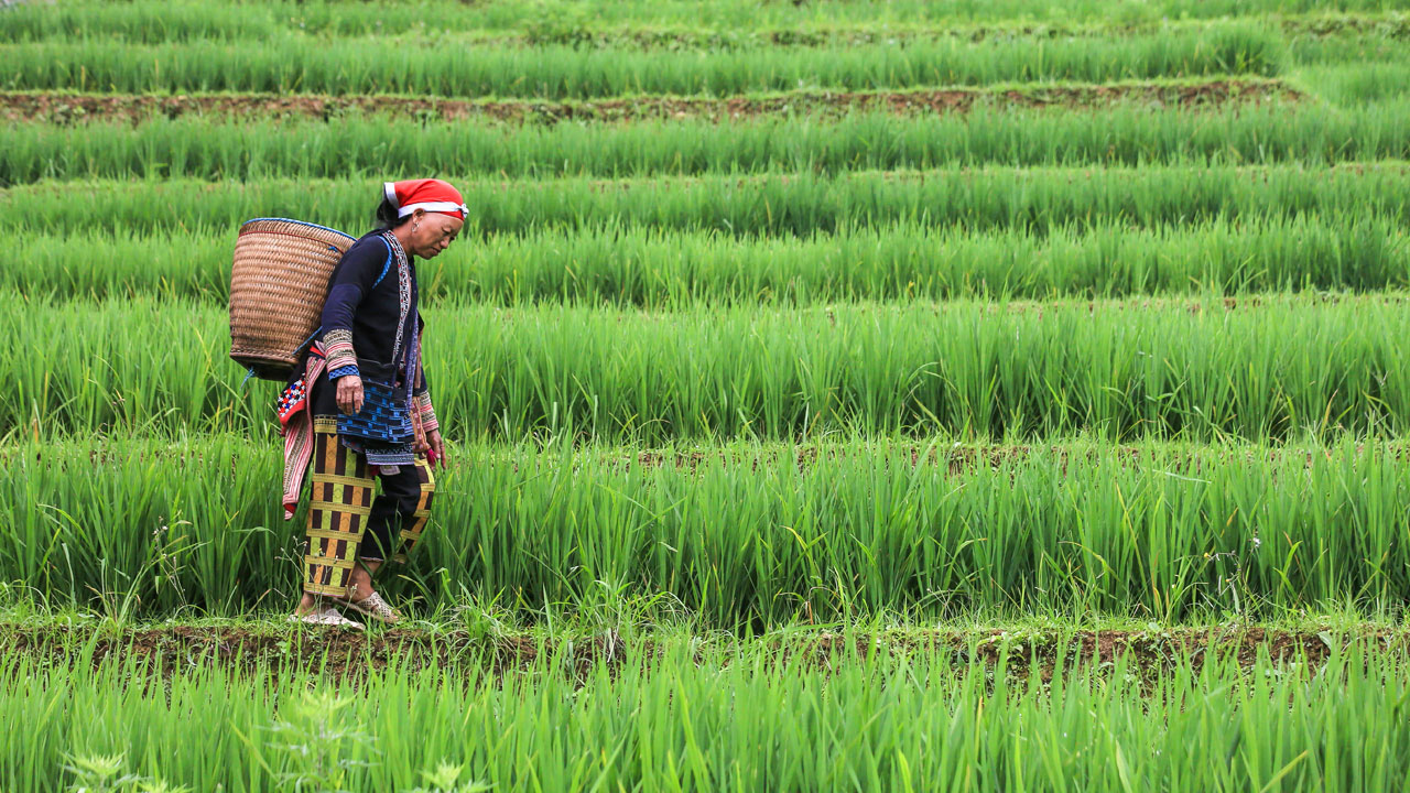 Foto - Cat Cat Köyü! Dağların arasında saklı bir masal