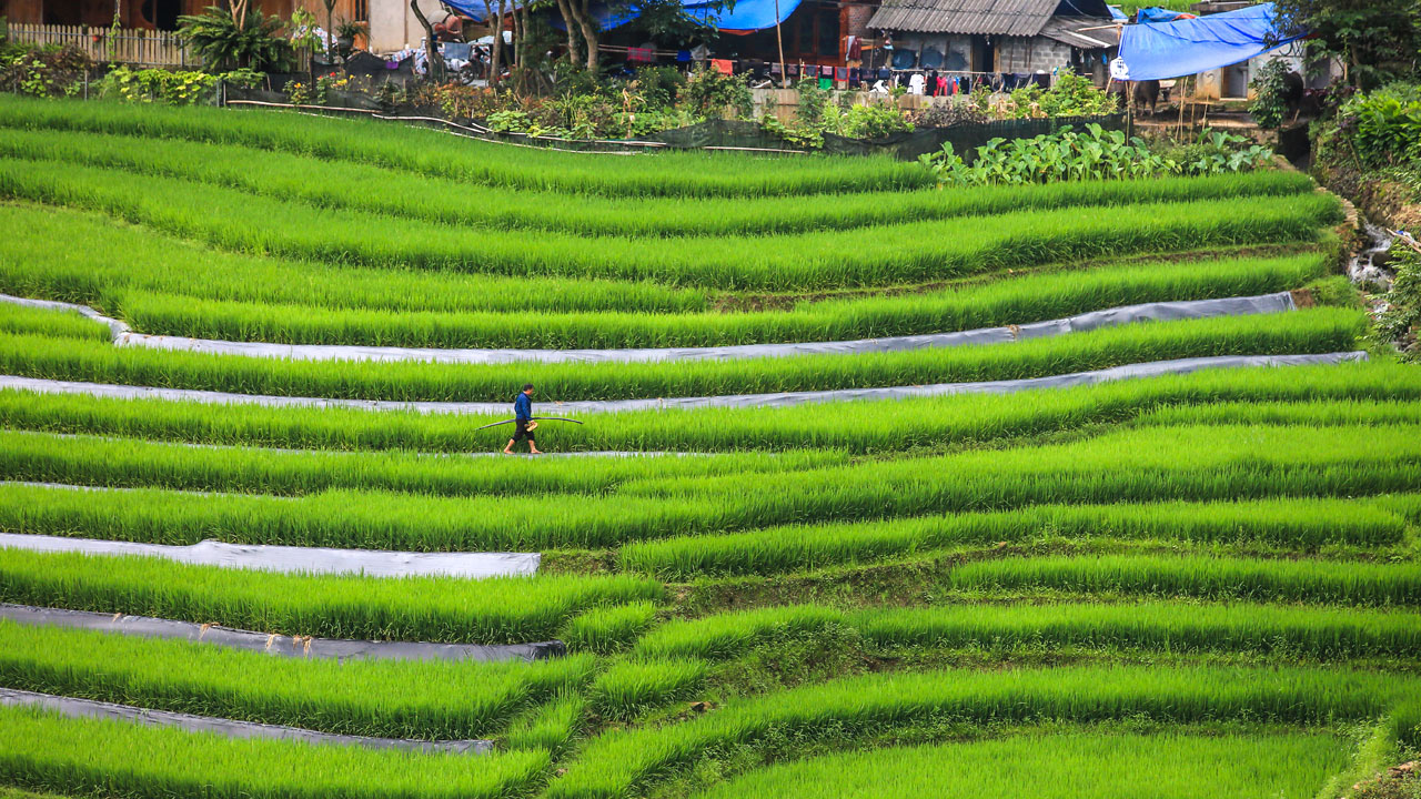 Foto - Cat Cat Köyü! Dağların arasında saklı bir masal