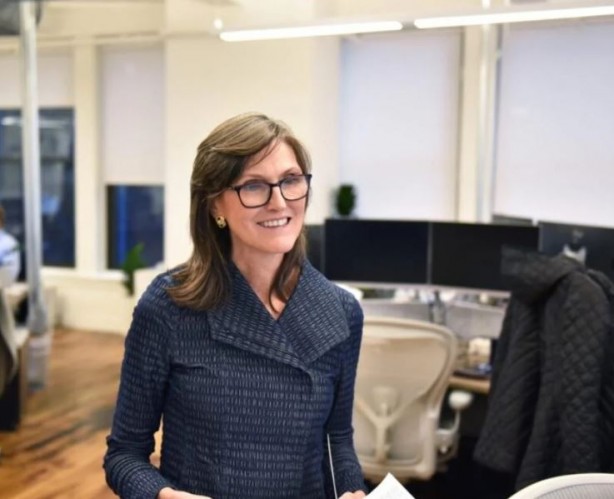 Foto - Cathie Wood'dan Elon Musk’a Teksas desteği