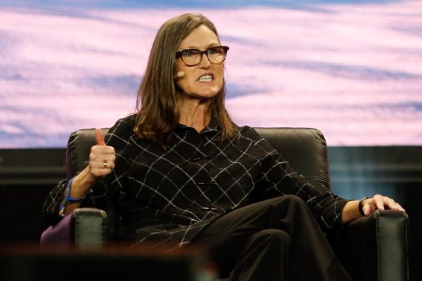 Foto - Cathie Wood'dan Elon Musk’a Teksas desteği