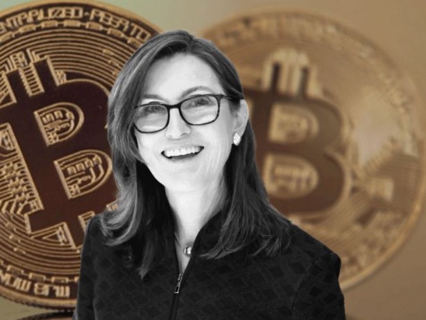 Foto - Cathie Wood'dan Elon Musk’a Teksas desteği