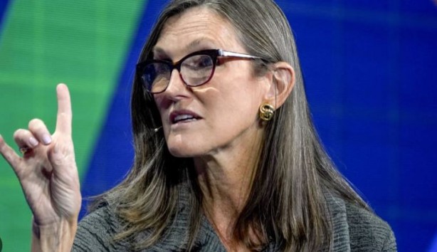 Foto - Cathie Wood'dan Elon Musk’a Teksas desteği