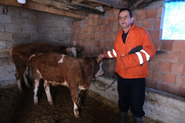 Foto - Çatısı çöken ahırda mahsur kalan hayvanlar kurtarıldı