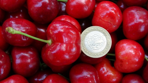 Foto - Çay bardağına sığmıyor! Boyutuyla şaşırtan bereket