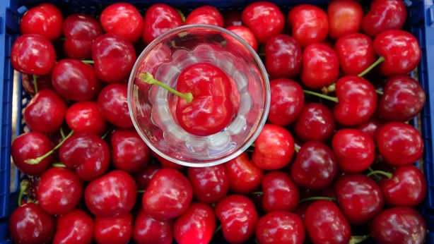 Foto - Çay bardağına sığmıyor! Boyutuyla şaşırtan bereket