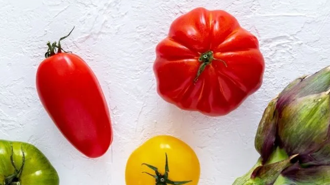 Foto - Tarif arayanlar: Google arama trendlerine göre yaz tarifi aramaları yüzde 110 arttı! Arayanları ilgilendiriyor