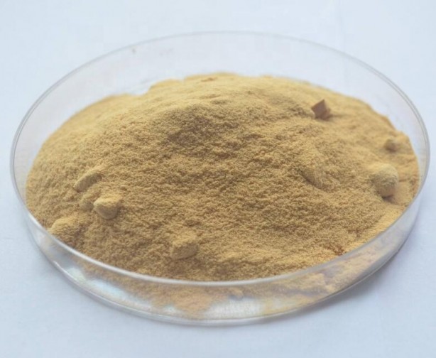 Foto - Çay mı kahve mi daha zararlı? Sonuçlar açıklandı...