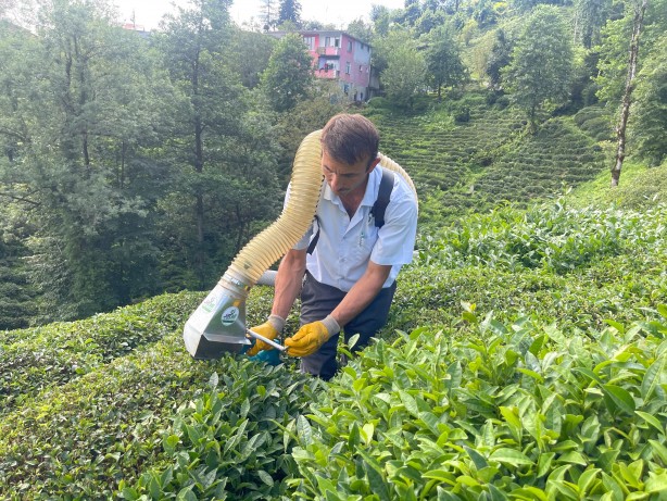 Foto - Çay toplamayı kolaylaştırmıştı! Bakın şimdi de hangi sorunu çözdü