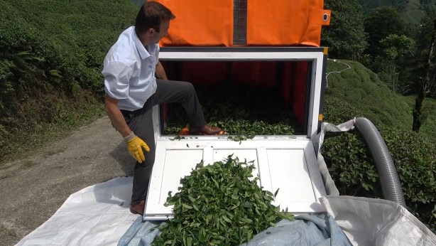 Foto - Çay toplamayı kolaylaştırmıştı! Bakın şimdi de hangi sorunu çözdü