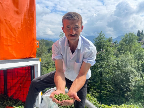 Foto - Çay toplamayı kolaylaştırmıştı! Bakın şimdi de hangi sorunu çözdü