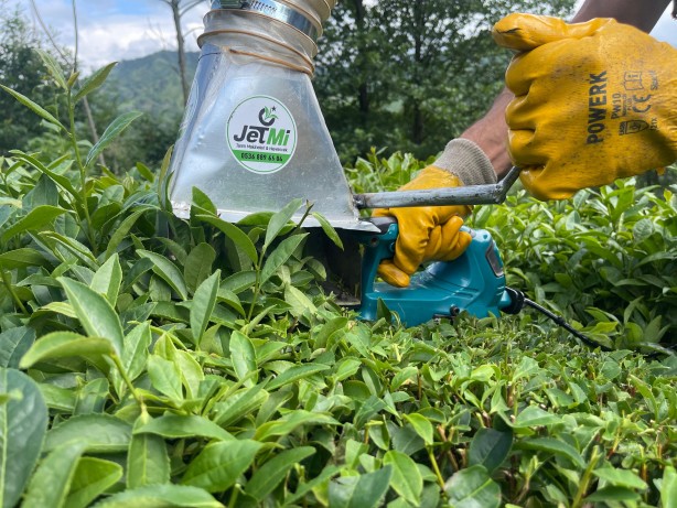Foto - Çay toplamayı kolaylaştırmıştı! Bakın şimdi de hangi sorunu çözdü