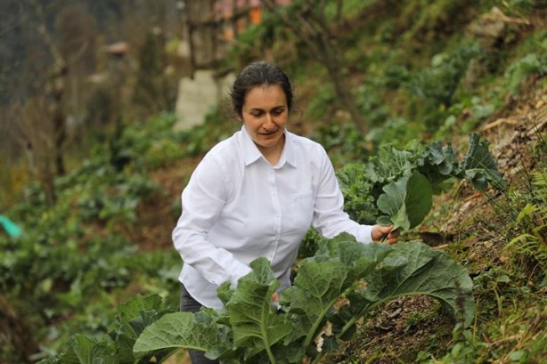 Çayeli'nde 3 yabancı dil bilen muhtar adayı