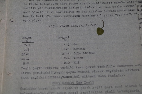 Foto - Çayın tarihini anlatıyor! 82 yıl sonra gün yüzüne çıktı