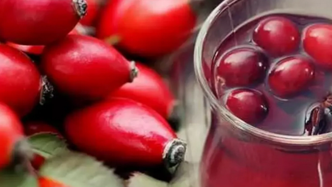 Foto - Çayını demleyip için, göğsü pamuk gibi yapıyor: Öksürük ve balgamı anında kesiyor! Müthiş şifa...