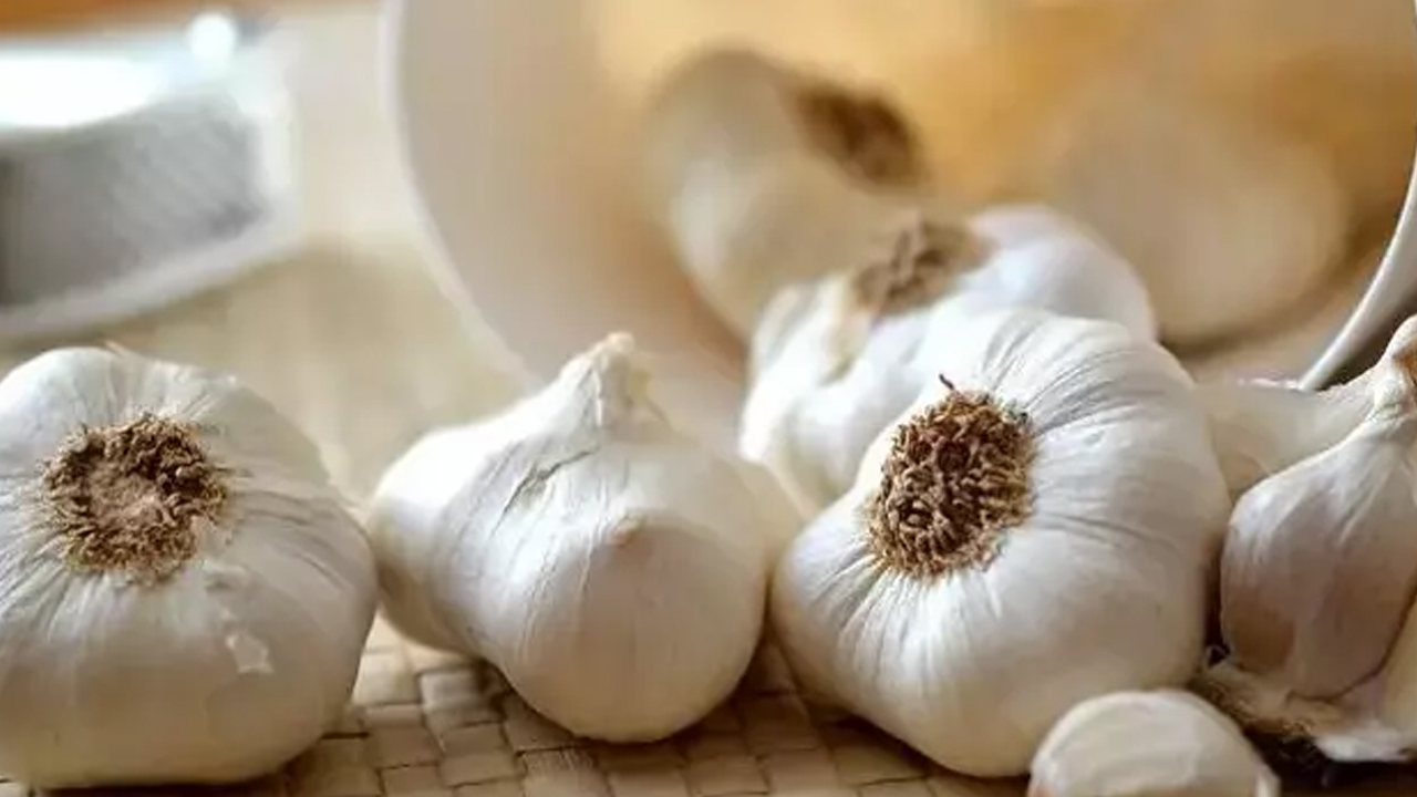 Foto - Çayını yapıp bardak bardak içince iltihabı yok edip kemikleri betona çeviriyor, damarları çamaşır suyu gibi temizliyor! 