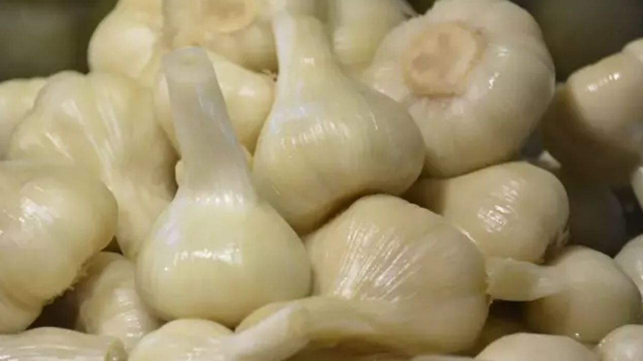 Foto - Çayını yapıp bardak bardak içince iltihabı yok edip kemikleri betona çeviriyor, damarları çamaşır suyu gibi temizliyor! 