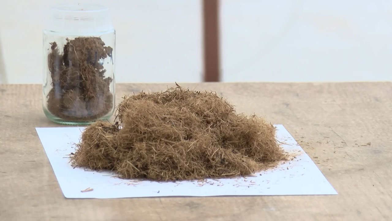 Foto - ‘Çaykopit’ üretildi! Rize’den tarımda devrim gibi hamle