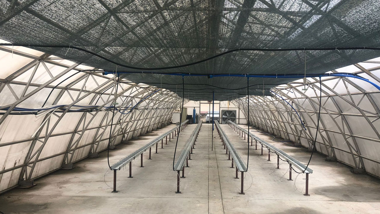 Foto - ‘Çaykopit’ üretildi! Rize’den tarımda devrim gibi hamle