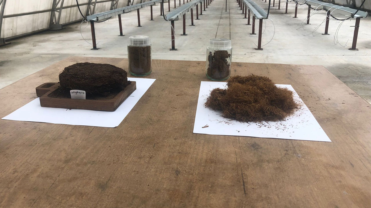 Foto - ‘Çaykopit’ üretildi! Rize’den tarımda devrim gibi hamle