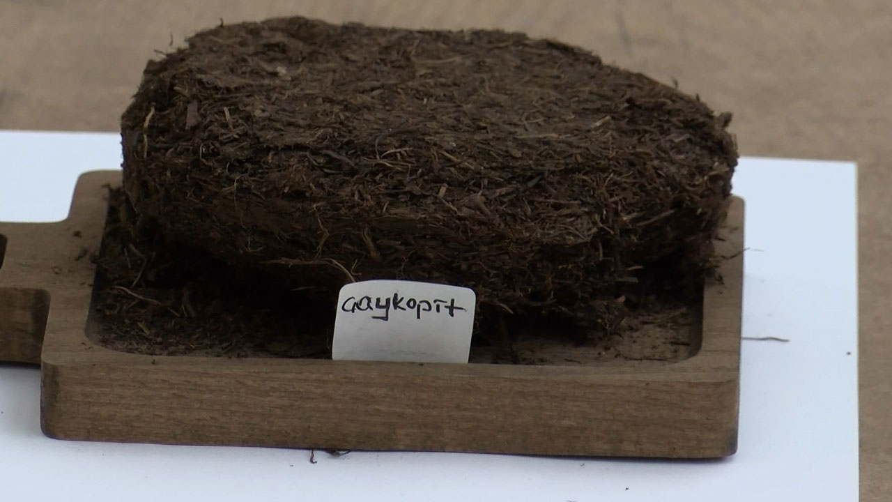 Foto - ‘Çaykopit’ üretildi! Rize’den tarımda devrim gibi hamle