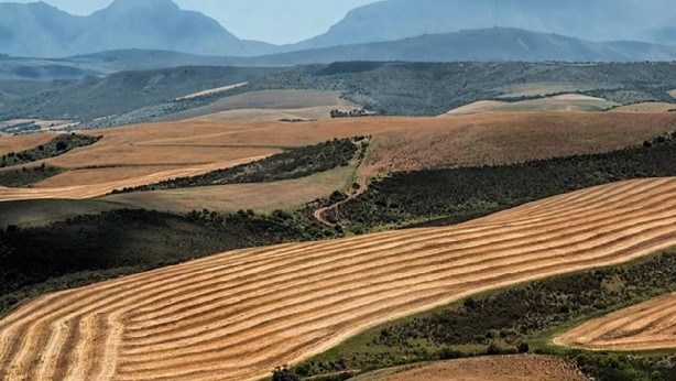 Foto - Cebinde 15 bin TL’si olanın bir de arsası olacak! Gören, "Bu gerçek mi" diye birbirine soruyor! Kaçırılmayacak fırsatı duyurdular! Yetişen alıyor