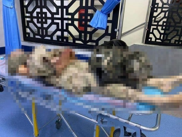 Foto - Rusya'yı zor duruma sokacak gelişme! Cehenneme bileti kesildi: Rus askeri ölü ele geçirildi!