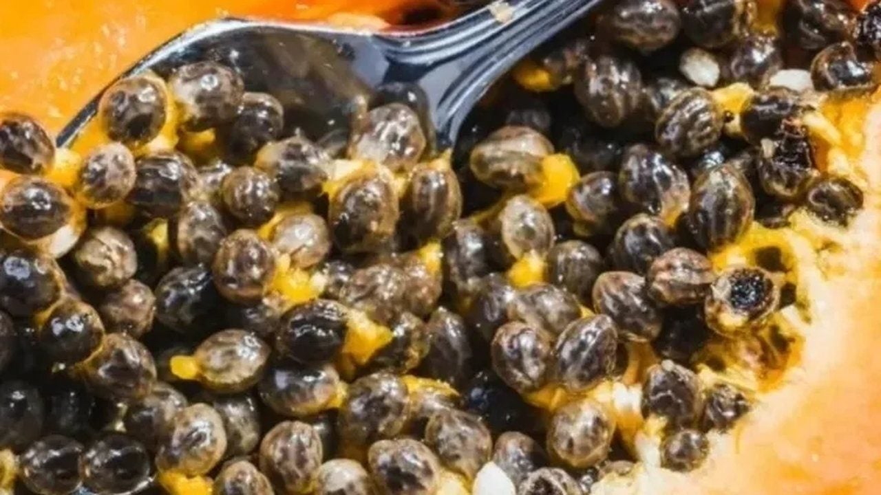 Çekirdeğini çöpe atan bin pişman oluyor! Ağrıları dindiriyor, vücuttaki parazitleri bıçak gibi kesiyor