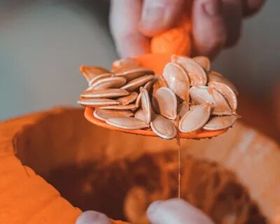 Foto - Çekirdek kabuklarını çöpe atmayın! Bu şekilde kullanırsanız inanılmaz etkisi var