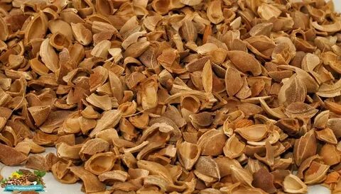 Foto - Çekirdek kabuklarını çöpe atmayın! Bu şekilde kullanırsanız inanılmaz etkisi var