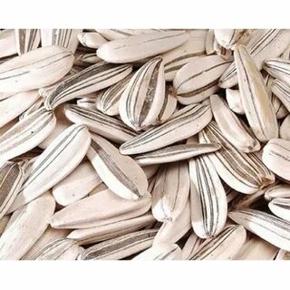 Foto - Çekirdek kabuklarını çöpe atmayın! Bu şekilde kullanırsanız inanılmaz etkisi var