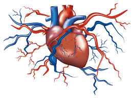 Foto - Çekirdek tüketmeniz için 5 neden: Ay çekirdeği öyle bir şey yaptı ki! Duyan kulaklarına inanamadı
