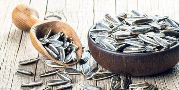 Çekirdek tüketmeniz İçin 5 neden! Çekirdek kabuklarını asla atmayın, çöpe atan bin pişman! Şaşıracaksınız