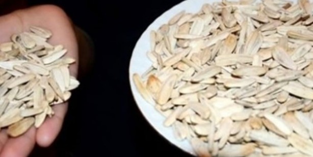 Foto - Çekirdek tüketmeniz İçin 5 neden! Çekirdek kabuklarını asla atmayın, çöpe atan bin pişman! Şaşıracaksınız