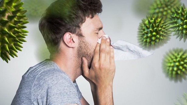 Çelik gibi bağışıklık mı istiyorsunuz! İşin sırrı bu 5 besinde...