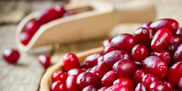 Çelik gibi kemiklerin anahtarı! Her gün 3 adet tüketmek yetiyor... Kızılcık meyvesi: Aynı şifa deposu, ezber bozdu