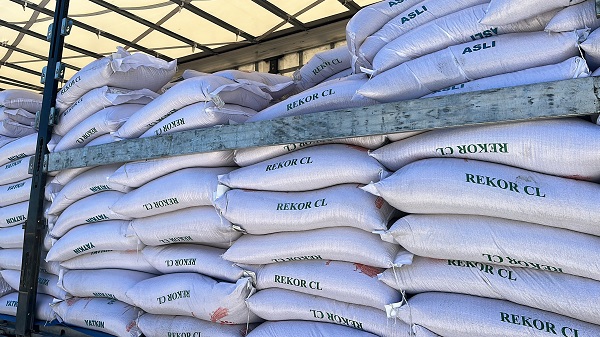 Foto - Çeltikler artık böyle dikilecek