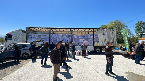 Foto - Çeltikler artık böyle dikilecek