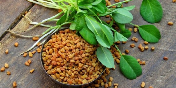 Foto - Çemen otunun faydaları nelerdir? 