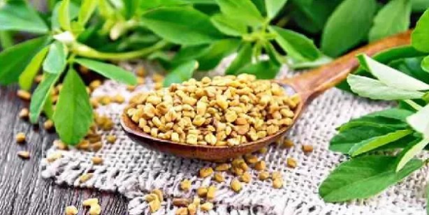 Foto - Çemen otunun faydaları nelerdir? 