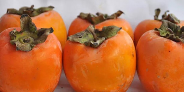 Foto - Cennet hurması nasıl olgunlaştırılır, faydaları nelerdir?