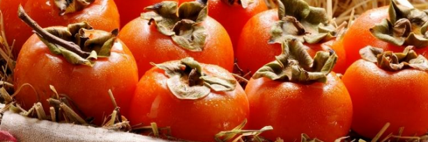 Foto - Cennet hurmasının faydaları! Trabzon Hurması: C vitamini en çok bu gıdada dolu! Herkes onu konuşuyor