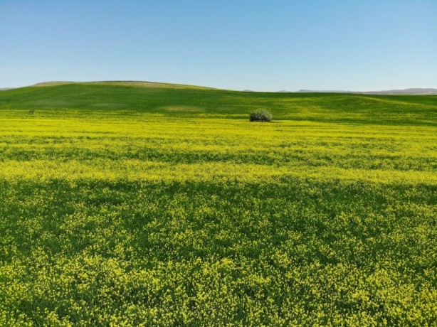 Foto - Cennet vatan Türkiye! Her köşesinden güzellik fışkırıyor