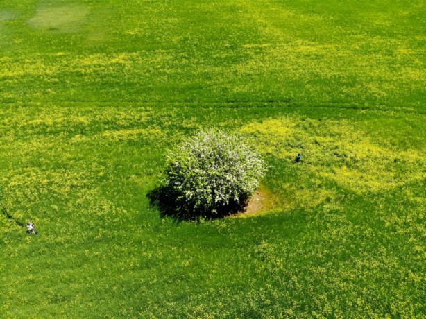 Foto - Cennet vatan Türkiye! Her köşesinden güzellik fışkırıyor