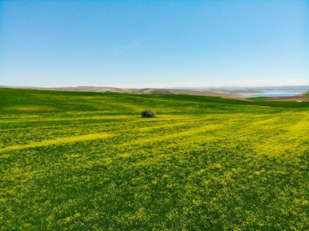 Foto - Cennet vatan Türkiye! Her köşesinden güzellik fışkırıyor